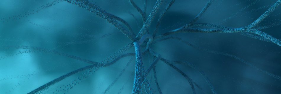 Expansion 4YOU marketing's attention